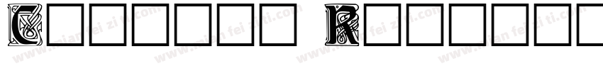 Carrick Regular字体转换
